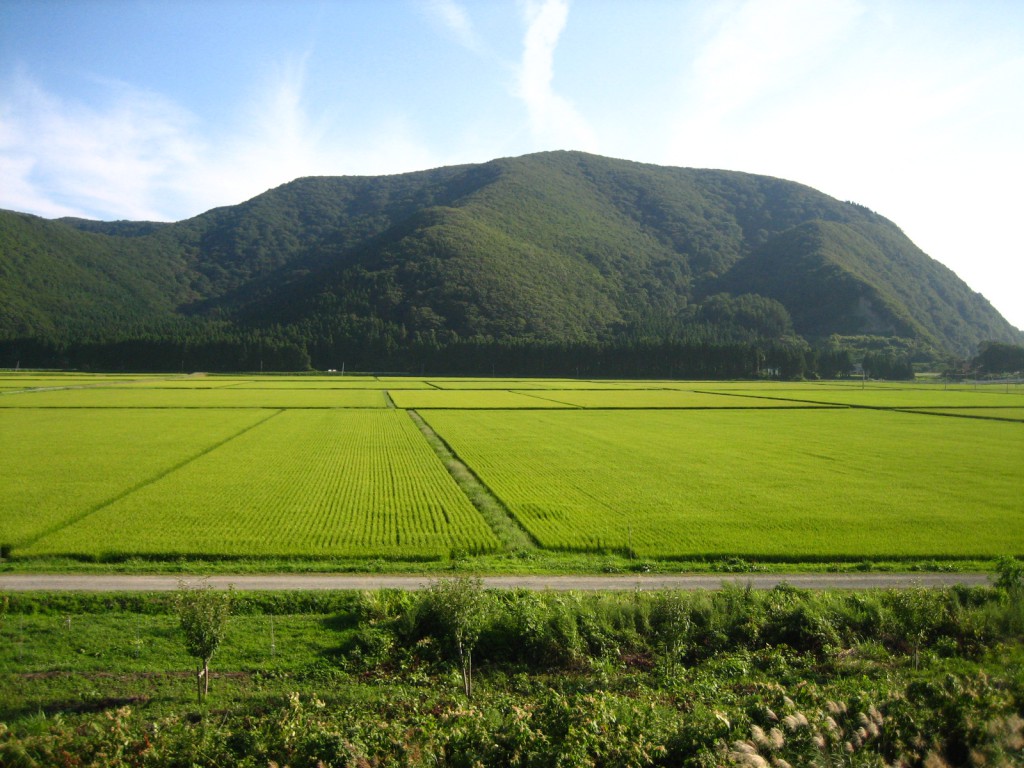 日本地方創生之檢討與展望